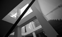 franzo-226